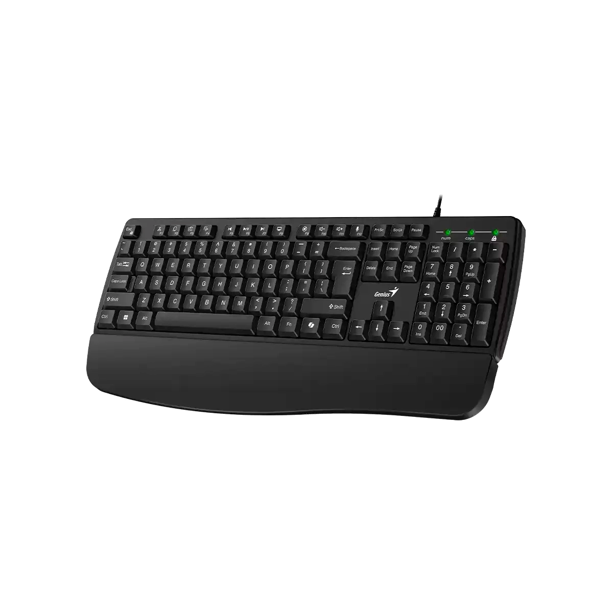 TECLADO GENIUS KB-123 PR AI WIRED USB NEGRO